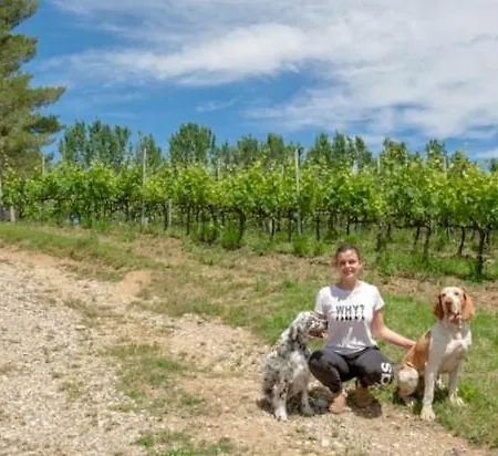 Сasa de vacaciones Fattoria Uccelliera